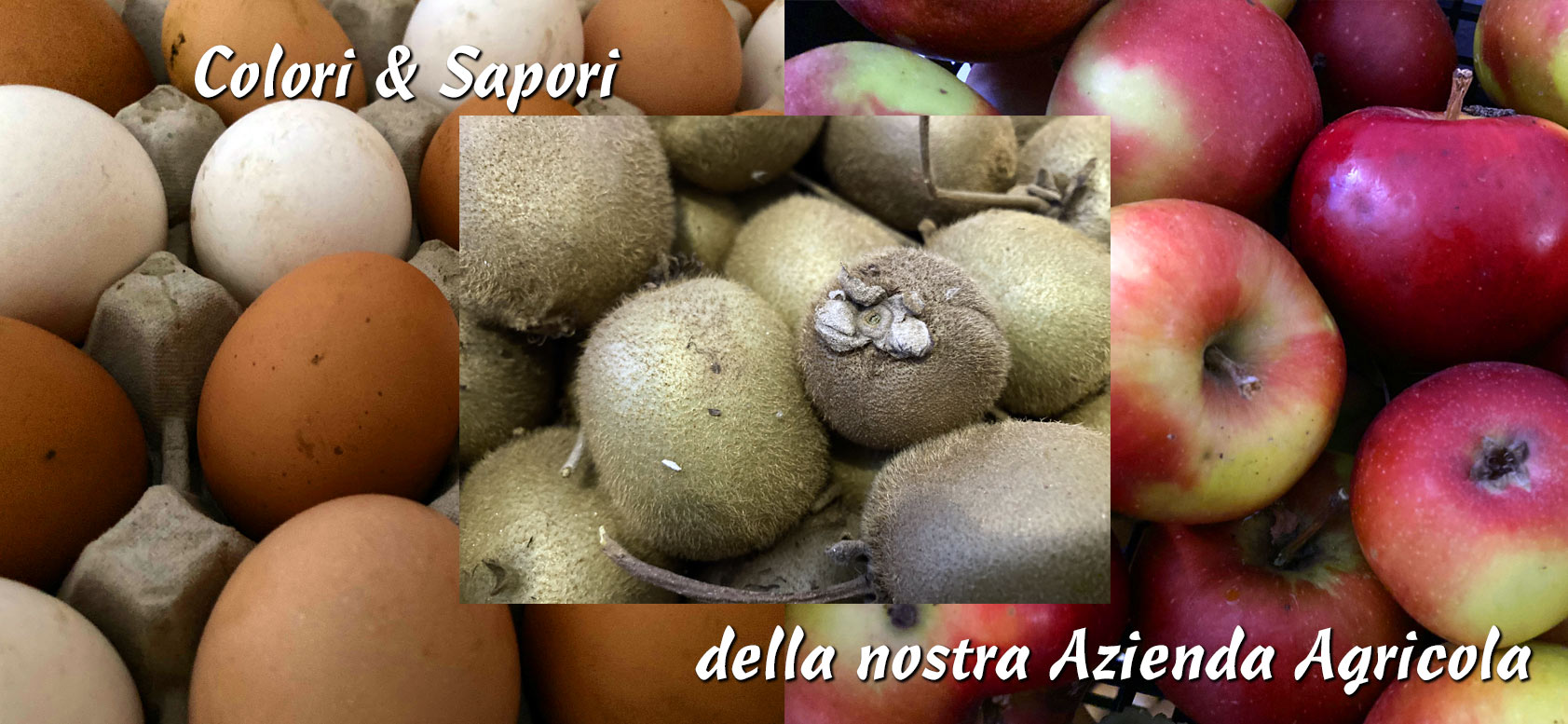 Freeride Alps Resort - Cascina Mezzanetti da Mania Freeride Alps Resort - Cascina Mezzanetti da Mania